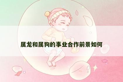 属龙和属狗的事业合作前景如何