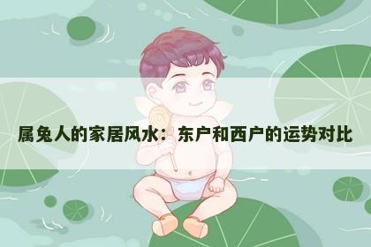 属兔人的家居风水：东户和西户的运势对比