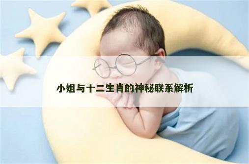 小姐与十二生肖的神秘联系解析